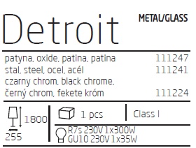t_detroit.jpg