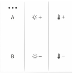 SWITCH PANEL pilot 2-GROUP BLUETOOTH WH panel sterujący matowy biały