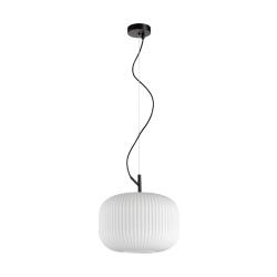 Rues lampa wisząca Czarny mat 30cm IP20
