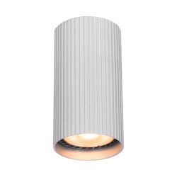 Rilok oprawa natynkowa plafon Aluminiowy 5,5cm IP20