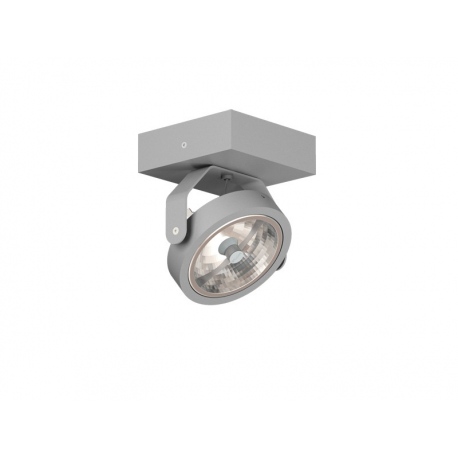 ZETA D1Sd LED111 reflektor stropowy G53, 12V, srebrny (biały Cleoni