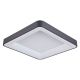 Giacinto czarny plafon 60cm Italux