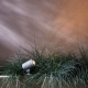 Bayville Spike Spot 12V reflektor gruntowy czarny z fakturą IP65 Astro Lighting