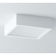 Belona LED kwadrat plafon 40-70cm wys. 20cm 3000K 4000K różne kolory Cleoni