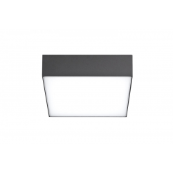 CASPER SQUARE 4000K ciemny szary plafon zewnętrzny IP54 20cm