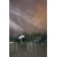 Bayville Spike Spot reflektor szary z fakturą IP65 LED3000K CRI80 Astro Lighting